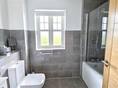 Picture 20